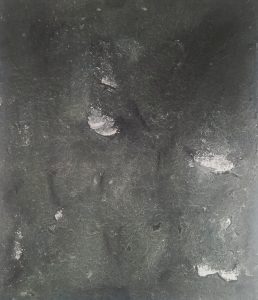 Tinta paper japo 11x12