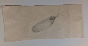 Forma blava Venecia 32x24,5