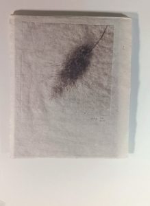 Tinta paper japo 7,5x12