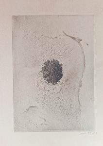 Mancha naranja 42x29