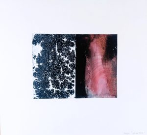 14.1 AMAGATS PLACIDO ROMERO 15x20