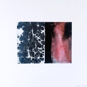 14.1.AMAGATS.PLACIDO ROMERO 15x20