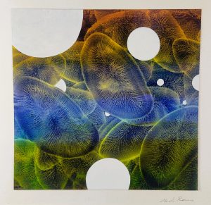 14.10 AMAGATS PLACIDO ROMERO 27x28