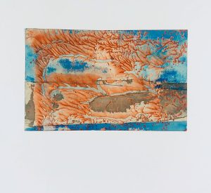 14.15 AMAGATS PLACIDO ROMERO 11x18