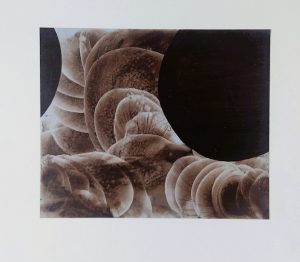 14.8 AMAGATS PLACIDO ROMERO 21x25