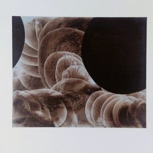 14.8. AMAGATS.PLACIDO ROMERO 21x25