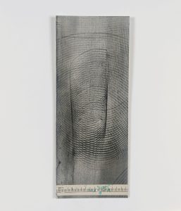 14.9 AMAGATS PLACIDO ROMERO 20x8