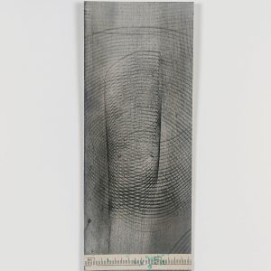 14.9. AMAGATS.PLACIDO ROMERO20x8