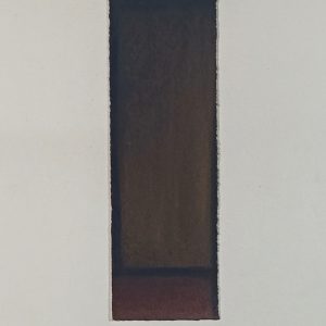 16.17-AMAGATS.CHAROGALVEZ