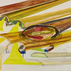 4.17 AMAGATS.DANI ENSESA