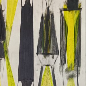 4.18 AMAGATS.DANI ENSESA