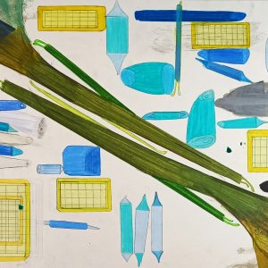 4.19 AMAGATS.DANI ENSESA