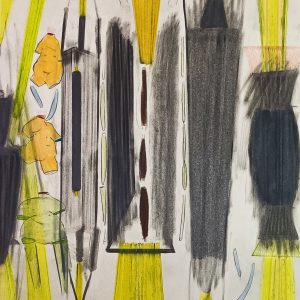 4.8 AMAGATS.DANI ENSESA