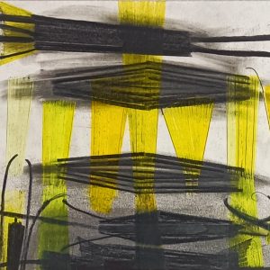 4.9 AMAGATS.DANI ENSESA