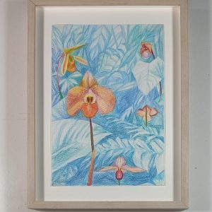 6.16.AMAGATS.NICOLE GAGNUM