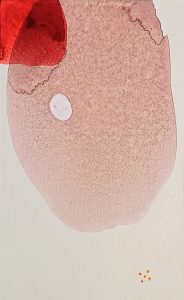 8.12.1 AMAGATS SILVIAHORNIG