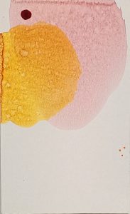 8.14.1 AMAGATS SILVIAHORNIG