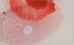 8.17.1 AMAGATS SILVIAHORNIG