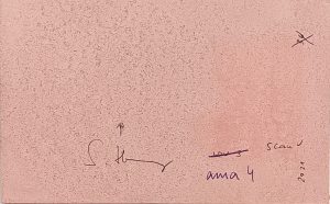 8.17.2 AMAGATS SILVIAHORNIG