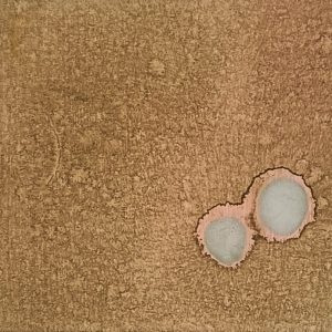 8.19.1. AMAGATS.SILVIAHORNIG