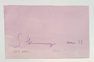 8.19.2 AMAGATS SILVIAHORNIG