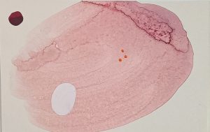 8.20.1 AMAGATS SILVIAHORNIG