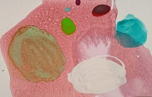 8.22.1 AMAGATS SILVIAHORNIG