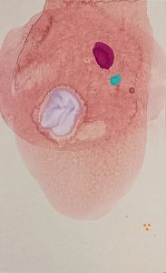 8.23.1 AMAGATS SILVIAHORNIG